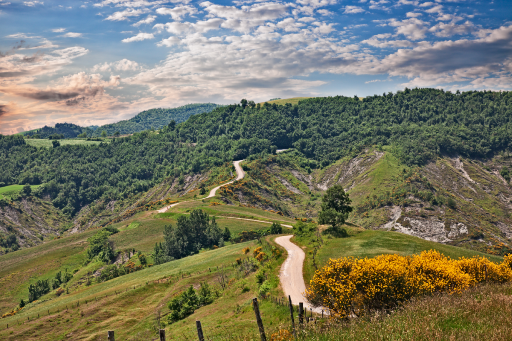 Colline Di Cesena