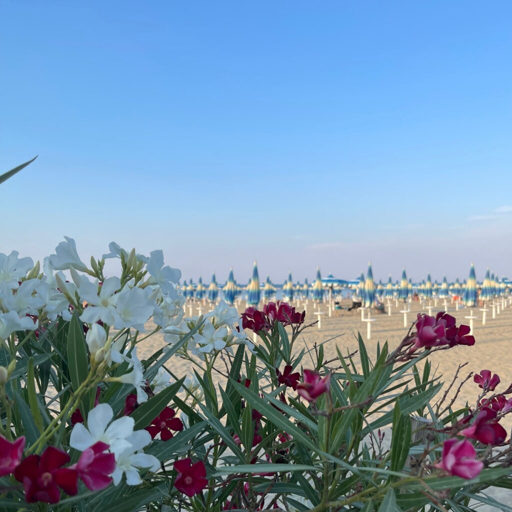 I 5 motivi per scegliere una vacanza in un camping village rispetto a un hotel tradizionale