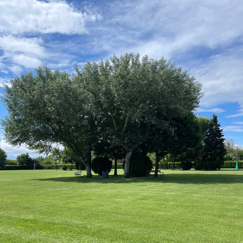 Tanta natura al Camping Village Rubicone